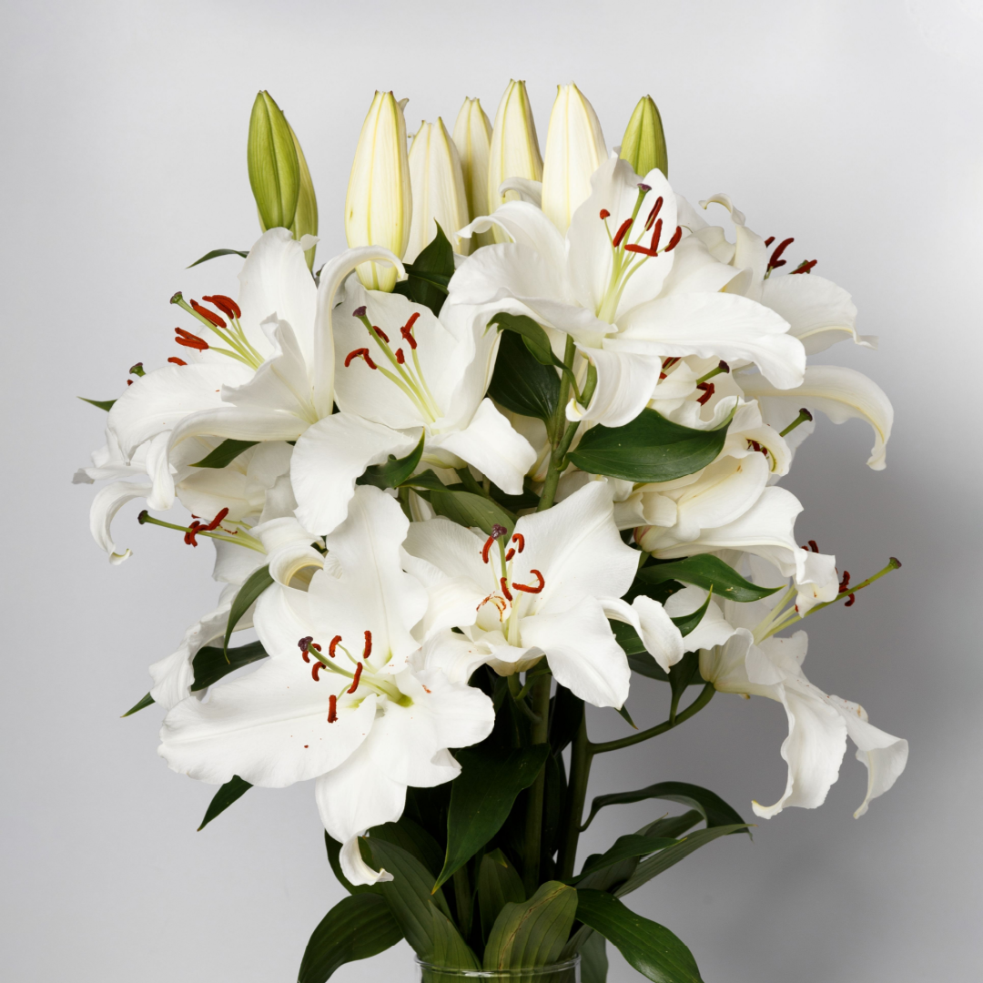 White Lilies Elegance Bouquet